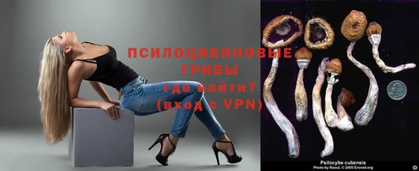 мдпв Пересвет
