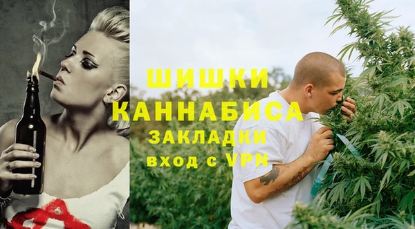мдпв Пересвет
