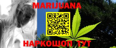индика Аргун