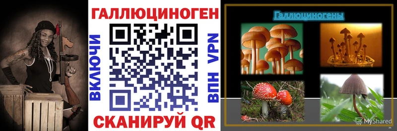 Псилоцибиновые грибы прущие грибы Апшеронск